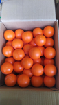 CUS97 intereach balls orange